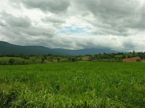 A drive from Khao Yai to Wang Nam Kiew .